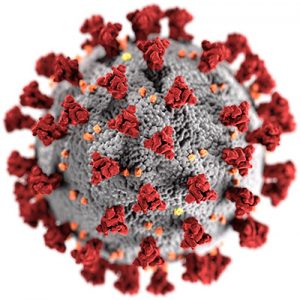 Virus Covid-19