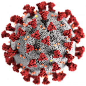 Virus Covid-19